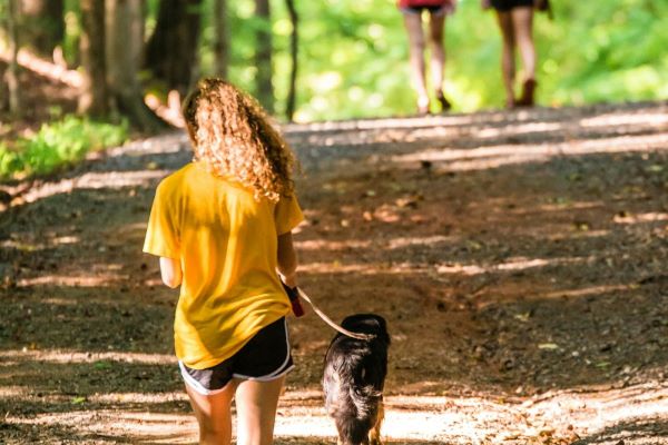 Hundeskov i Odense: Flot natur og masser af motion​